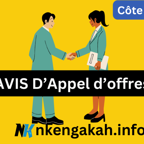 Avis d’appel d’offres Publication d’un appel d’offres pour des prestations de transit et de transport pour Expertise France Côte d’Ivoire (24-AOO-S021)