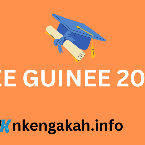 Résultats du CEE Guinée 2024 : L'attente se prolonge, des précisions du ministère