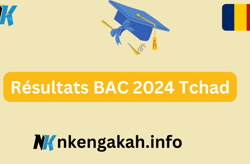 Tchad: La Saisie des Notes du BAC 2024 Lancee pour une Publication Imminente des Résultats