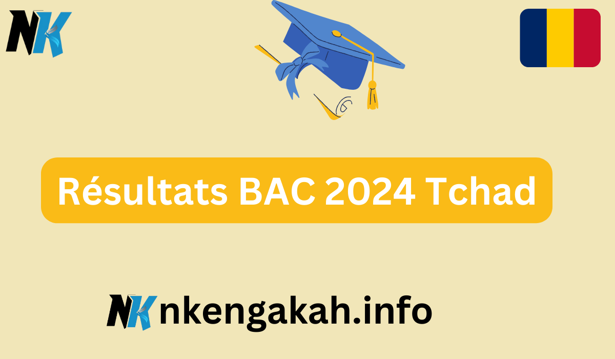 Tchad: La Saisie des Notes du BAC 2024 Lancee pour une Publication Imminente des Résultats