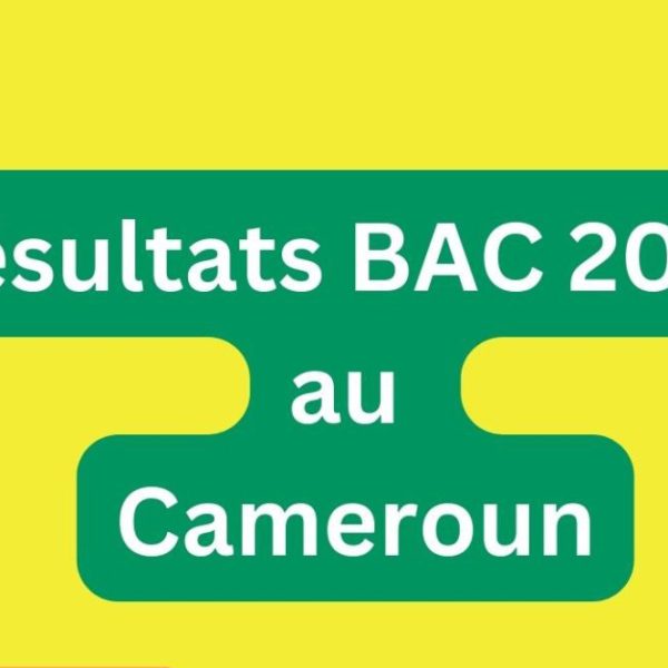 Résultats du BAC STT 2024 au Cameroun