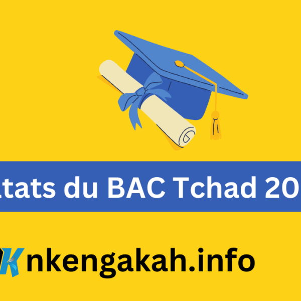 Les résultats du BAC Tchad 2024 disponible ce 14 juillet