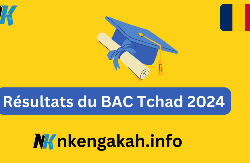 Les résultats du BAC Tchad 2024 disponible ce 14 juillet