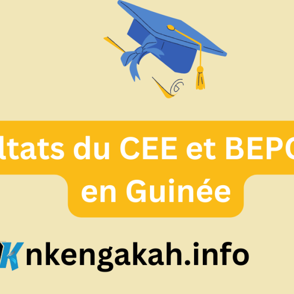 Résultats du CEE et BEPC 2024 en Guinée : 63% de taux réussite au CEE et 47% au BEPC