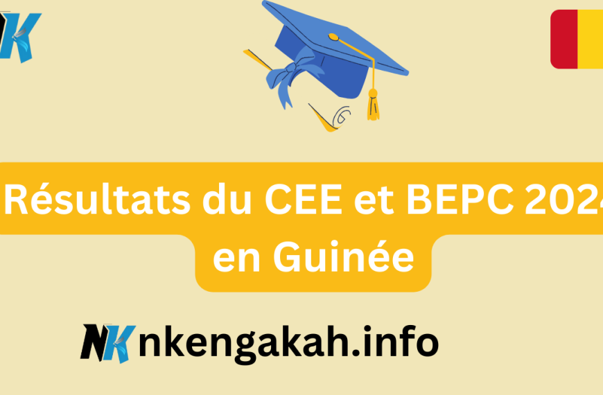 Résultats du CEE et BEPC 2024 en Guinée…